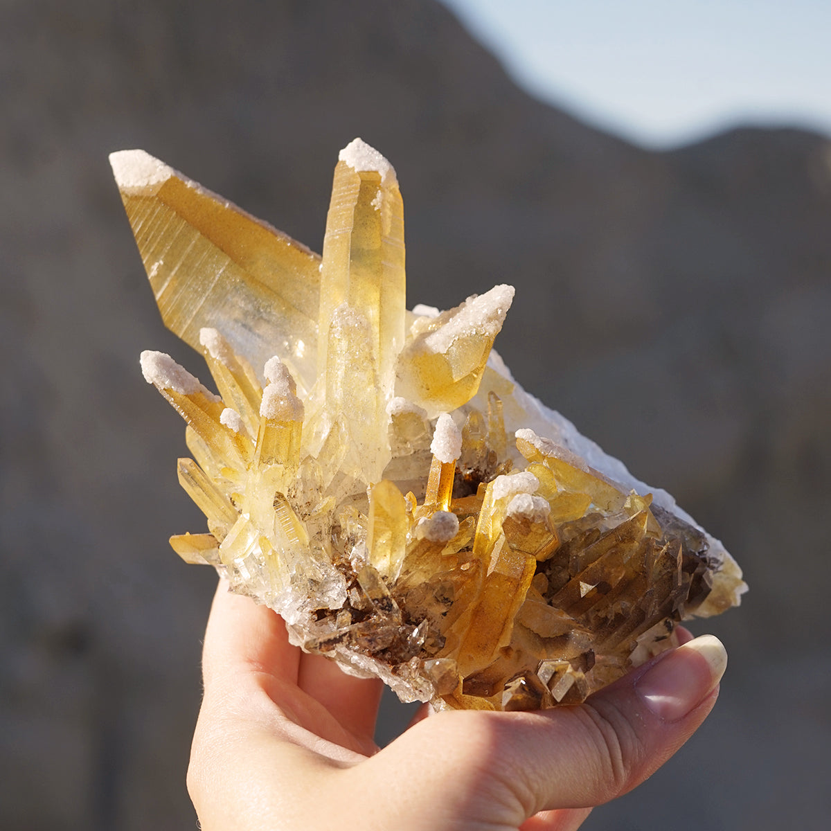 yellowcolombian5_1200x1200_cro